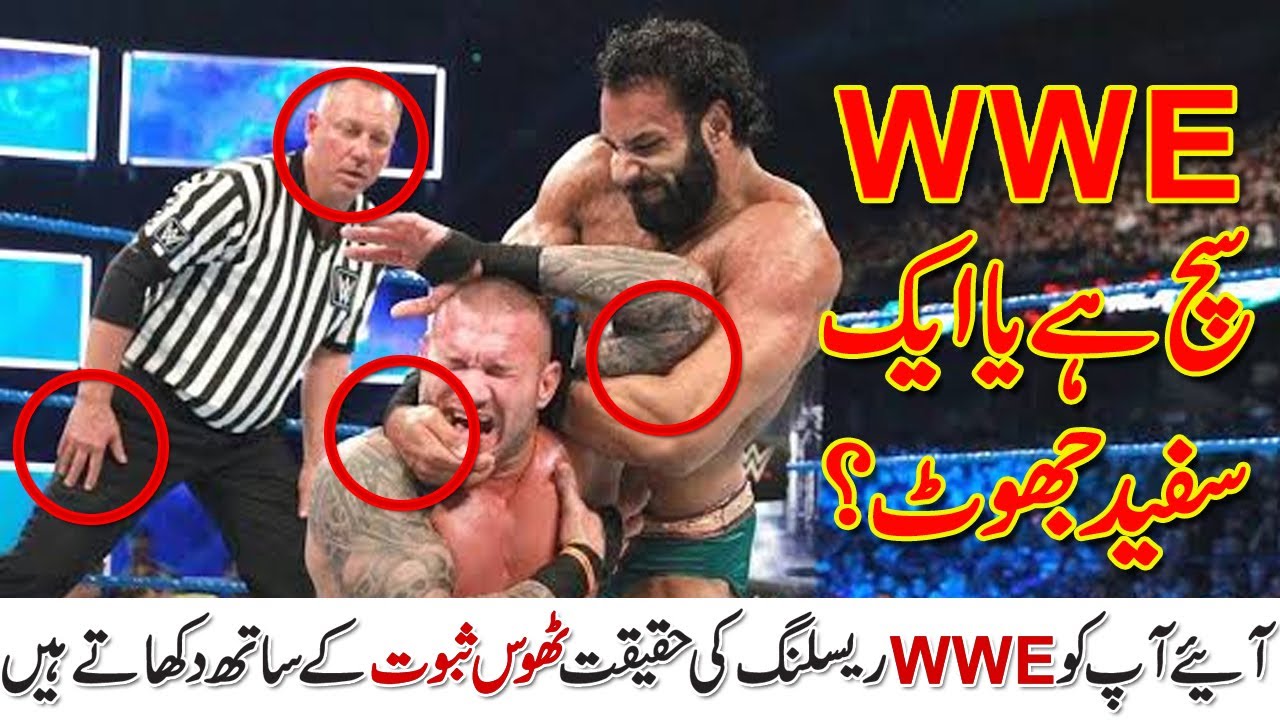 Is Wwe Real Or Scripted کی حقیقت کیا ہے؟wwe Youtube