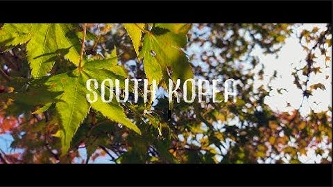 Cinematic South Korea | Shot on Iphone | Feiyu Vimble 2