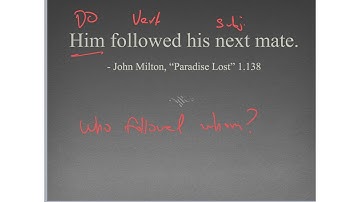 Shelmerdine Intro to Latin Chapter 2 - Nominative and Accusative Cases