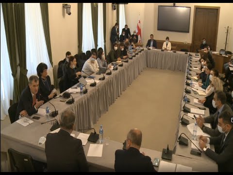 გრძნობთ თუ არა მორალურ დისკომფორტს,  უწესო წესებით რომ იბრძვით?! - კამათი კომიტეტის სხდომაზე