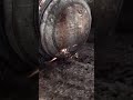 El secreto de la CORPSER buchona de Gears of war 2🤠 #easteregg #secreto #trucos