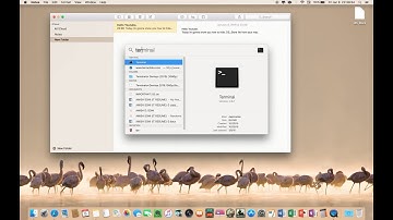 .DS_Store hide on Macbook