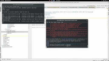 6. Building Applications Using the MicroProfile API