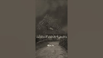 تلاوة رائعة جدا 🌱الشيخ ياسر الدوسري،🍃 حالات واتس اب 🌱
