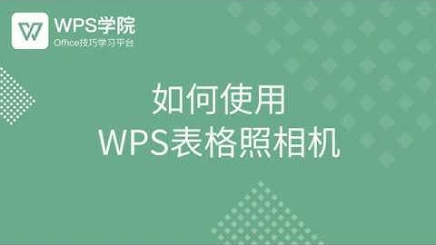【Excel教程】如何使用WPS表格照相机？