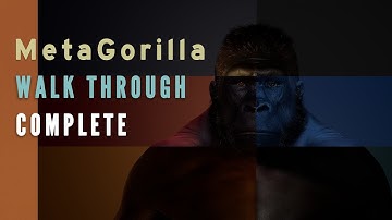 MetaGorilla Walkthrough | COMPLETE | Master Class