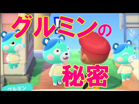 あつ森 かわいいグルミンの秘密 実はこんなことをしていた Youtube