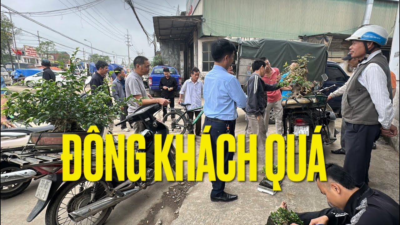CHỢ BONSAI ĐẦU NĂM MỚI ĐÔNG KHÁCH QUÁ - LIỆU CÓ CHỐT KHÔNG?