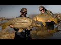 Big carp fishing at Buffelspoort dam // Carp fishing South Africa 2020