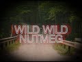 Crust chapter ii wild wild nutmeg