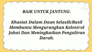 Khasiat Daun Selasih/Basil