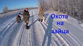 Graf Potapov