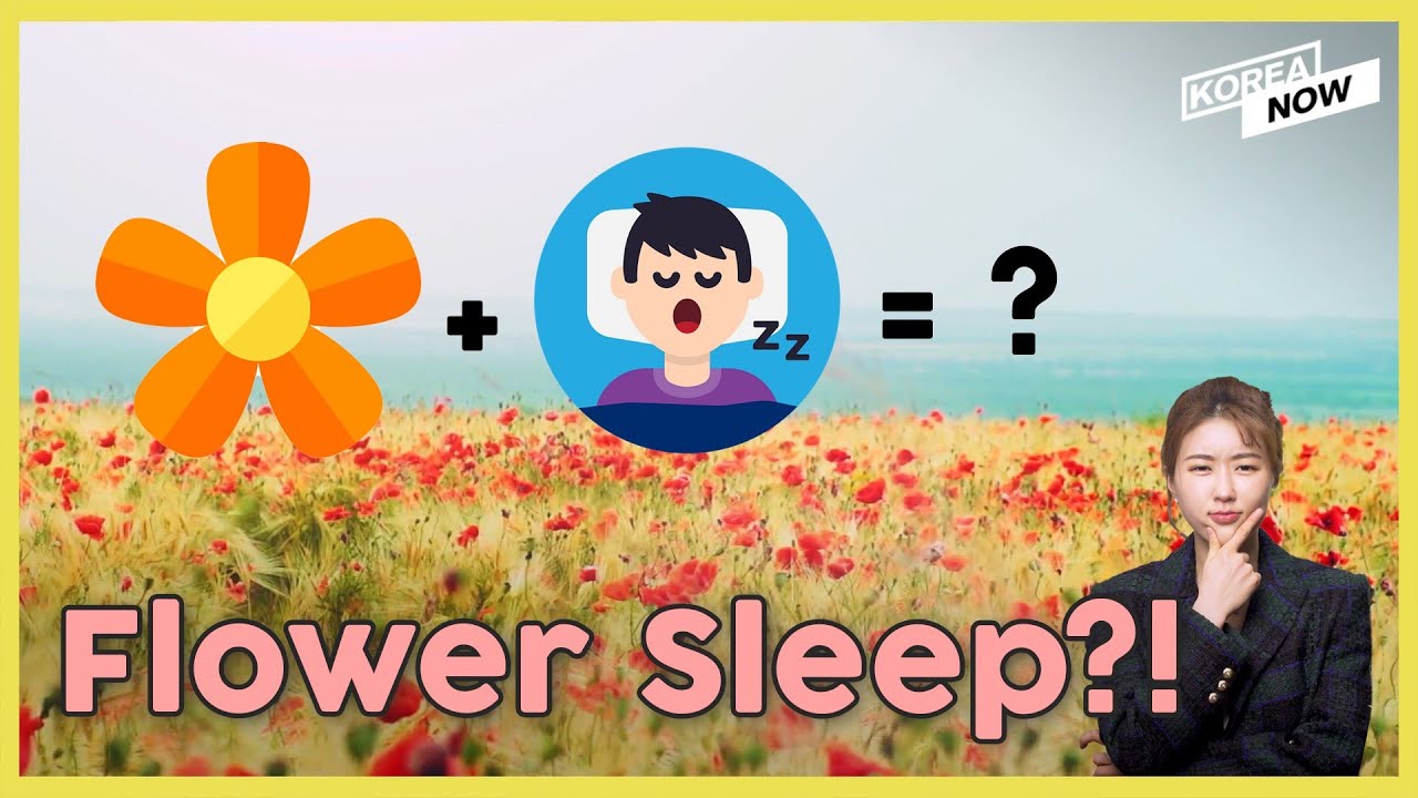 Pretty Native Korean Words that You Didn’t Know Existed!!!