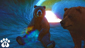 Adding Himalayan Brown Bears to our Eco-Zoo | Planet Zoo Franchise Mode Ep17