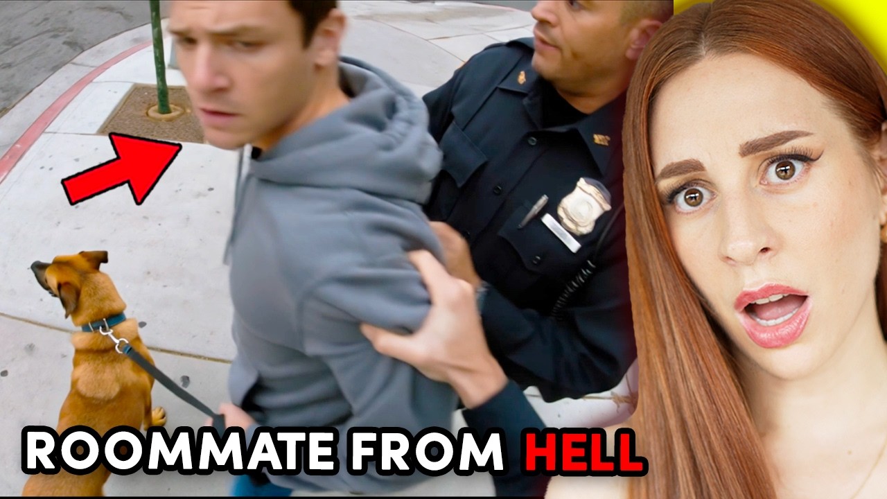 my roommate STOLE my dog - Charlotte Dobre REACTION