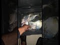 Filled the yeti up fishing yeti viral fish ice