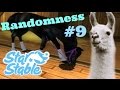 Randomness #9 | Star Stable Online