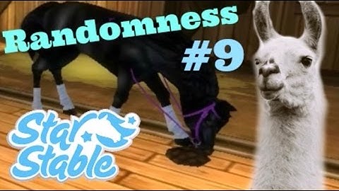 Randomness #9 | Star Stable Online