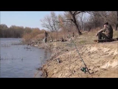 Урюпинск _ Волгоградская область _ река Хопёр _ 10 апреля © 2016 ... Урюпинск _ Волгоградская область _ река Хопёр _ 10 апреля © 2016 ...