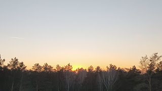 Frosty 🥶 Sunset 🌞
