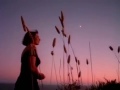Capture de la vidéo Suzanne Ciani - Riding Heaven's Wave