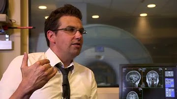 BrainHub Interview: Tim Verstynen