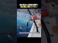 海の恵みと危険の境界！ 漁の裏に潜むリアル！