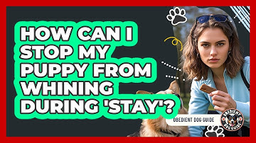 How Can I Stop My Puppy From Whining During 
