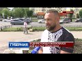 В Иванове в центре города обосновался рой из 5 тысяч диких пчел