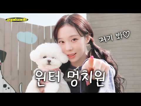 강아도 강아 냄새를 좋아하나 봄