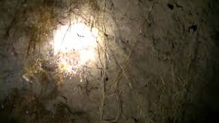 Incursión al "Túnel Caballero"