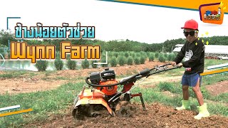 ช้างน้อยตัวช่วย Wynn Farm - สูงเตี้ยเรี่ยดิน EP48