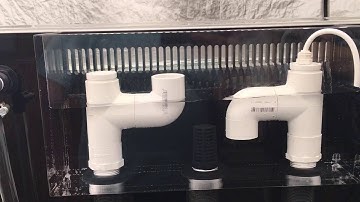 Bean Animal Overflow - Proper setup and operation View.