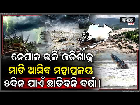 ୮ରୁ ଉତ୍ତର ଓଡ଼ିଶାରେ ବଢ଼ିବ ବର୍ଷା, ୧୧ ଯାଏଁ ପ୍ରବଳ ବର୍ଷା ସମ୍ଭାବନା | Weather Update | Heavy Rain