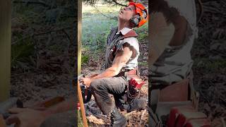 #logger #timberfaller #husqvarna #564 #windy