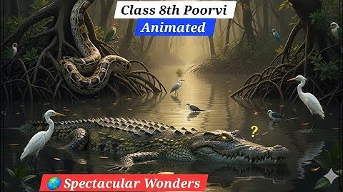 🌏 Spectacular Wonders | Class 8 English Poorvi | Full Animated Explanation in Hindi