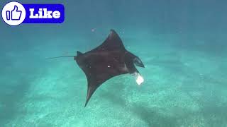 Mysteries Beyond the Stars by Curious Explorers | Episode 159