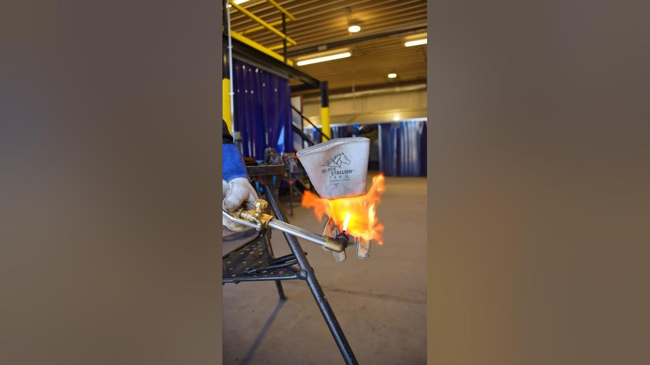 Cheap vs Expensive Gloves kaicenat amp dukedennis gloves 