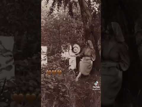 ورده سكيته من دمع العيون اغنيه يبحث عنه الجميع لاتنسو لايك للفيديو للنستمر بنشر المزيد