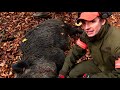 Wild boar fever VI  part 1