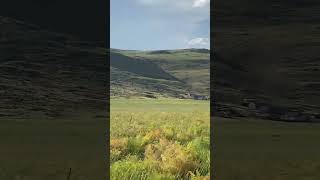 Ağrı tutak akyele köyü yaylası