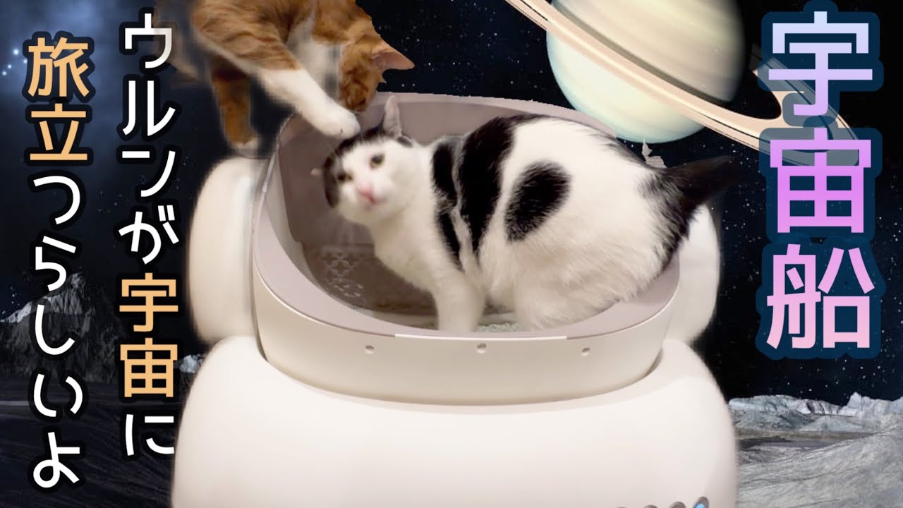 メルヘイ様Pluto square 猫ちゃん自動トイレ 【公式通販】 メルヘイ様Pluto square 猫ちゃん自動トイレ 【公式通販】