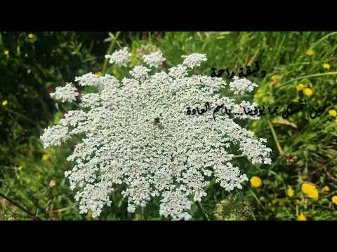 حين نتمسك بما يؤذينا بإسم العادة دقيقة راحة ت عيد ترتيبك من الداخل