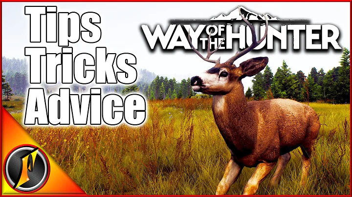 Getting Started in Way of the Hunter GUIDE! Tips, Tricks, & Advice! - 天天要闻