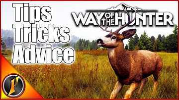 Getting Started in Way of the Hunter GUIDE! Tips, Tricks, & Advice!
