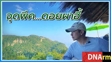 พาเที่ยว ดอยช้างมูบ ดอยผาหมี ดอยผาฮี้ จุด check in ชิมกาแฟหลักสิบ วิวหลักล้านจังหวัดเชียงราย