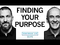 How to find your purpose in life  dr ej chichilnisky  dr andrew huberman