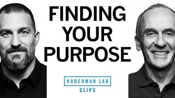 How to Find Your Purpose in Life