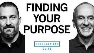 How to Find Your Purpose in Life | Dr. EJ Chichilnisky \& Dr. Andrew Huberman