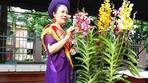 Bài thơ: Đường về quê - Tác giả: Nguyễn Ngọc Anh, Thể hiện: Kim Loan